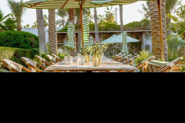 Treehouse at Taj Dubai