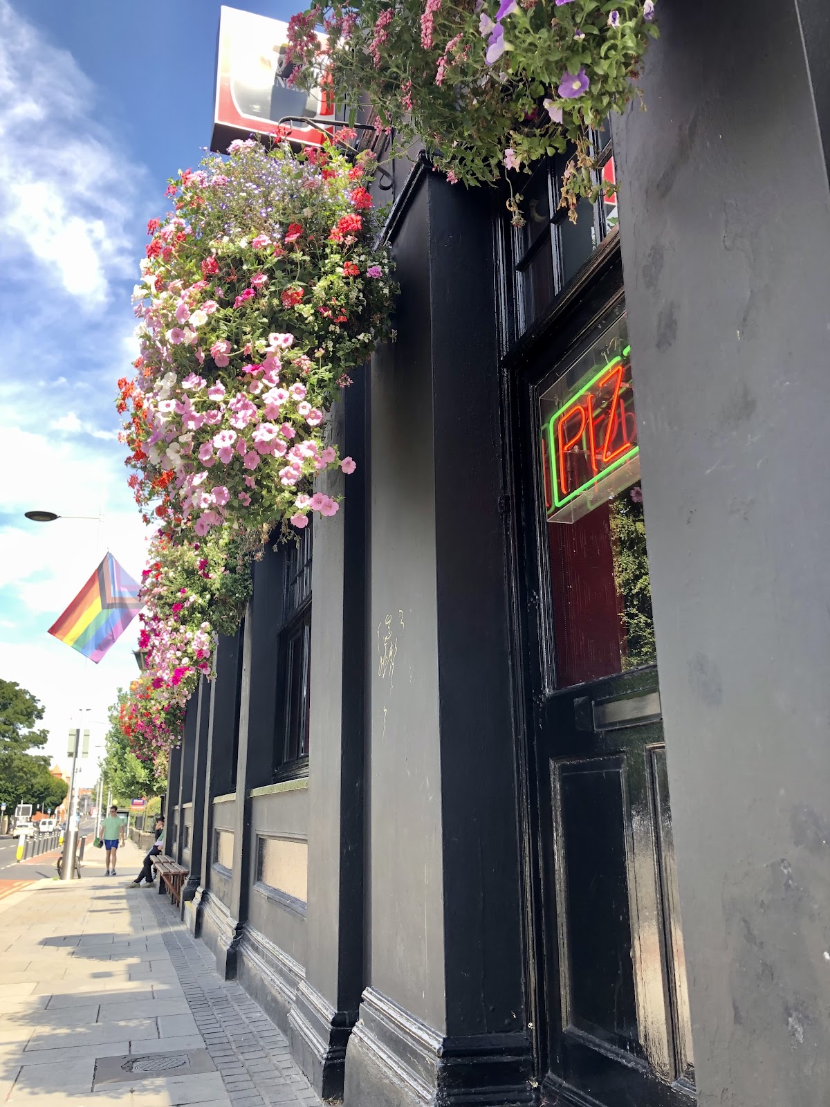 Blackbird, Dublin