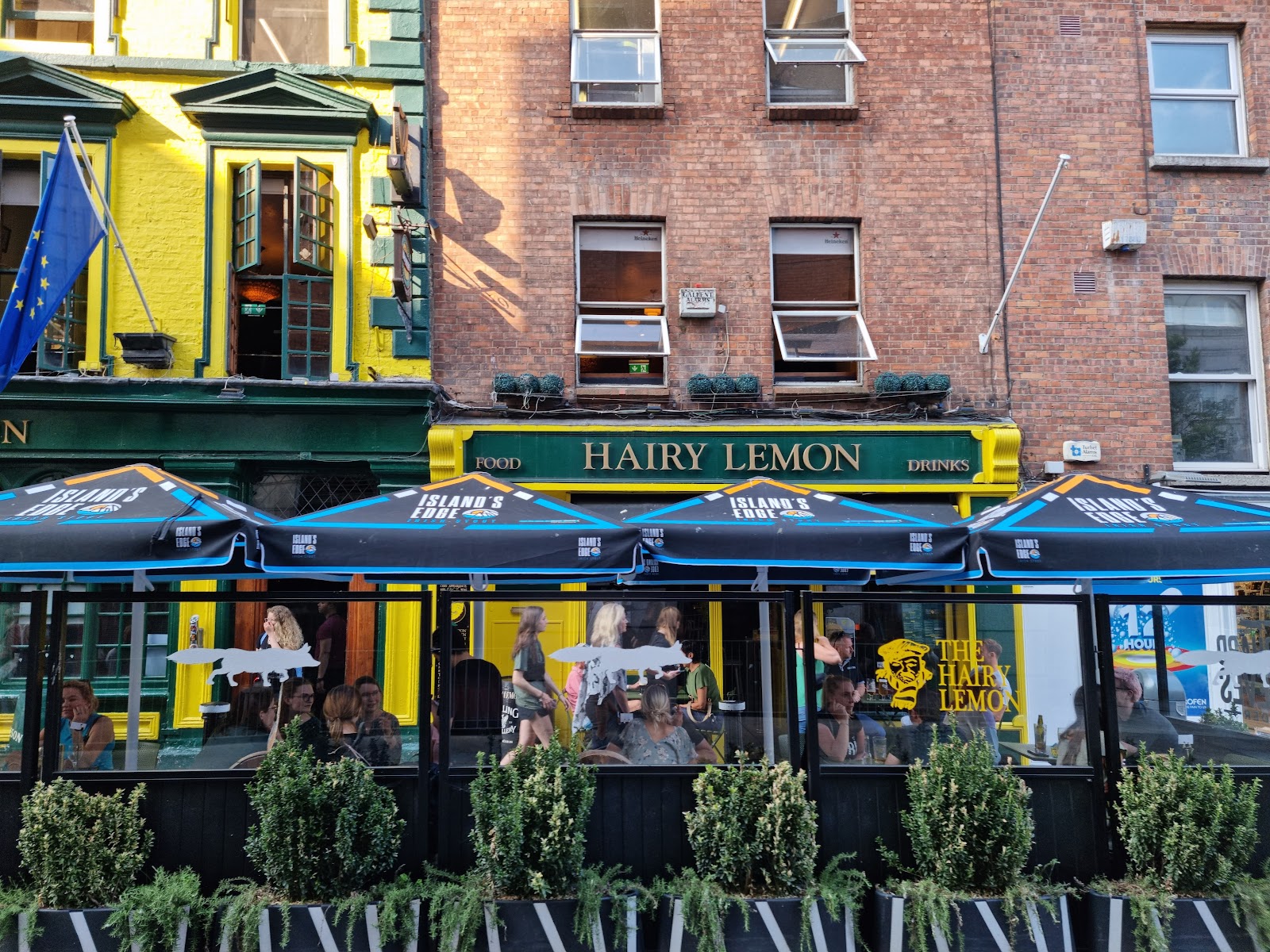 The Hairy Lemon, Dublin