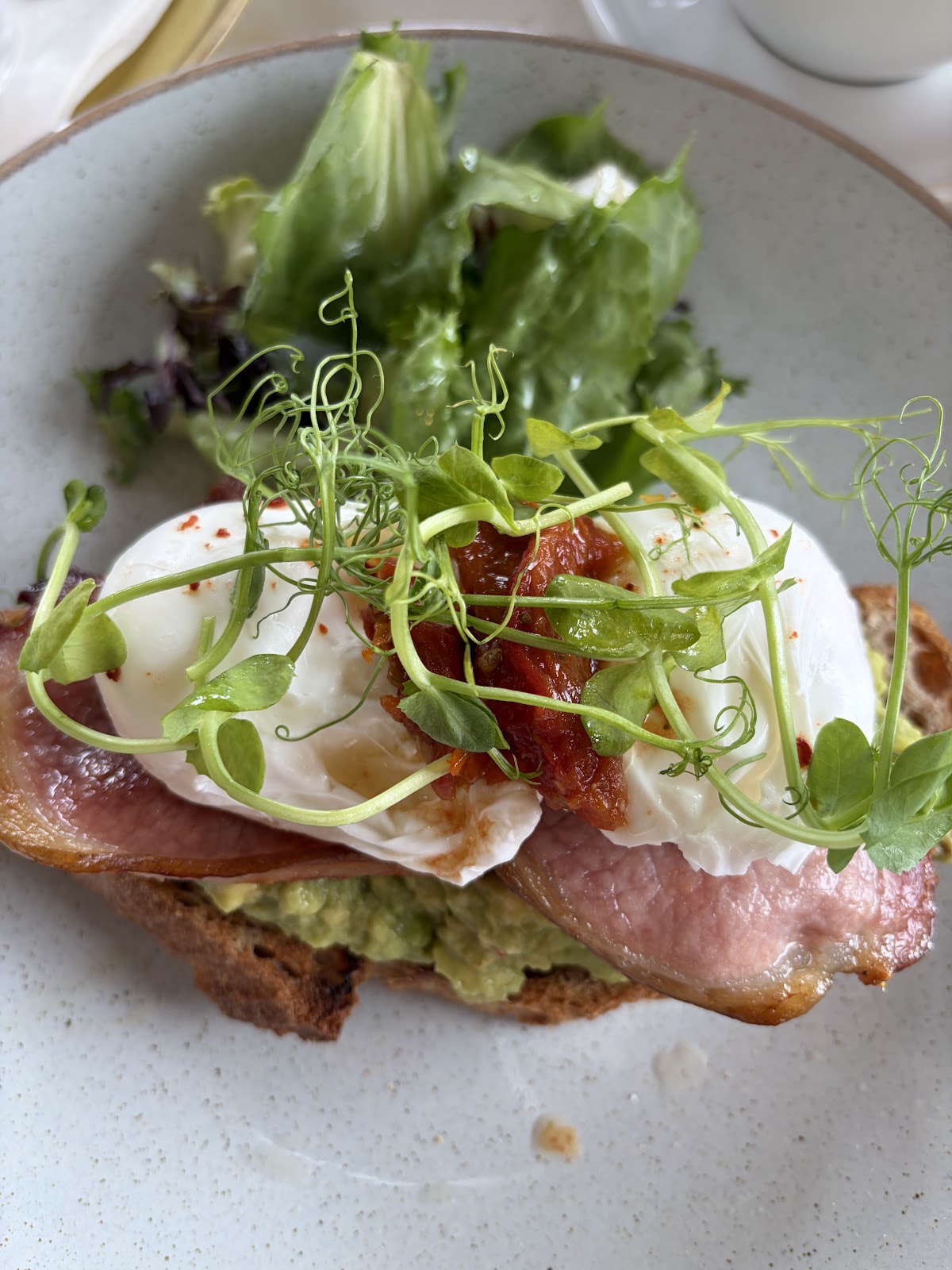 Toast Wine Cafe, Edinburgh
