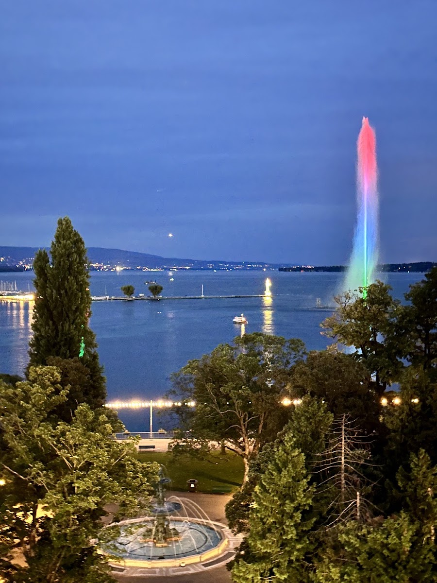 Hôtel Métropole Bar, Geneva
