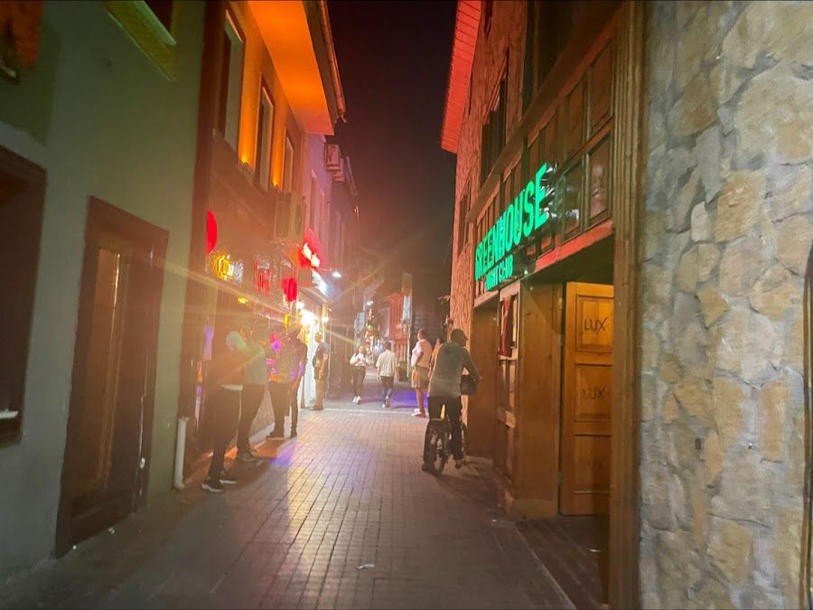Greenhouse Bar Karakoy atmosphere