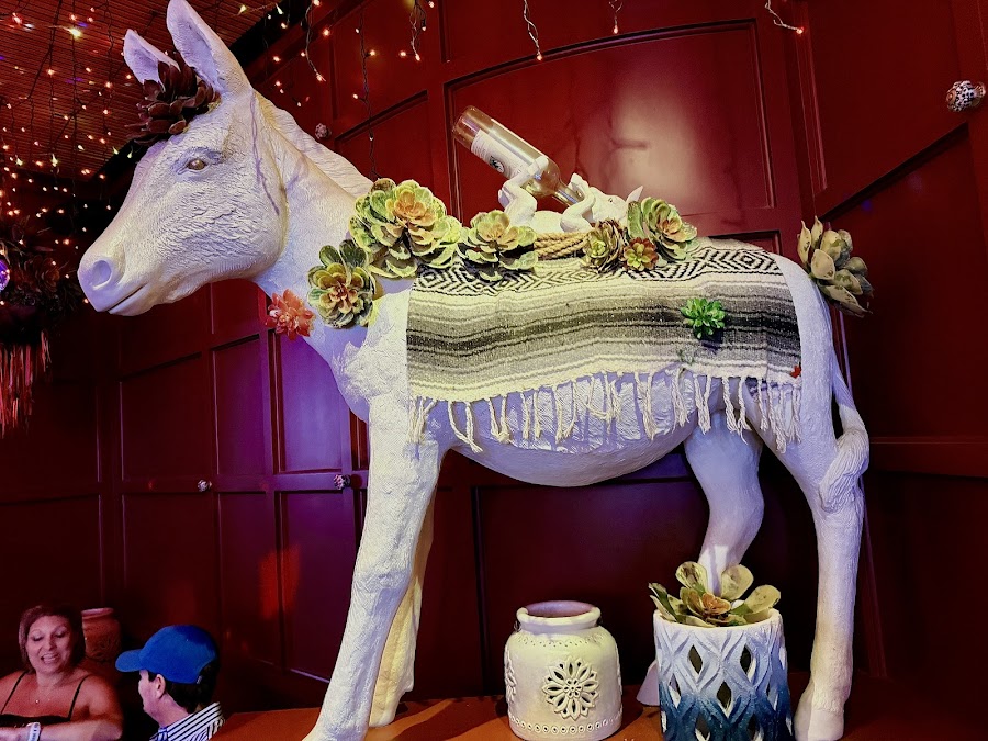 Ghost Donkey, Las Vegas