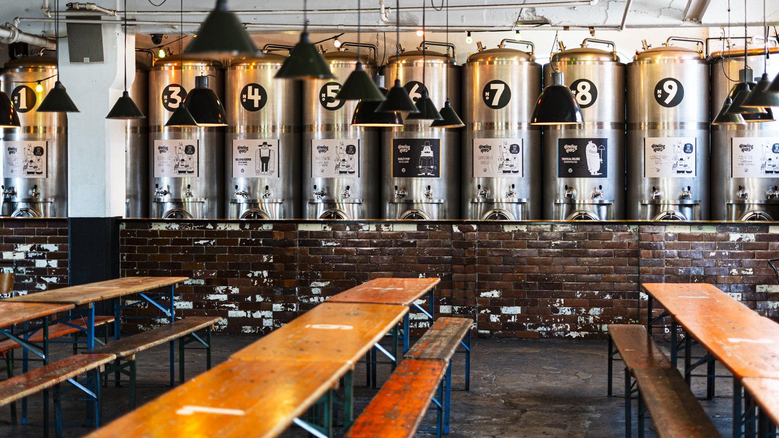 Craft beer pours on a bar