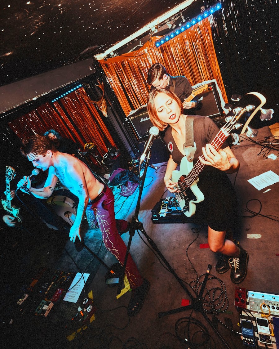 Sebright Arms interior