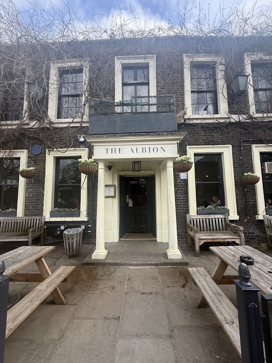 The Albion, London
