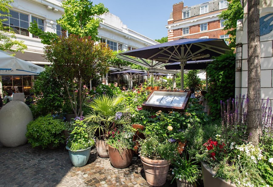 Bluebird Chelsea, London