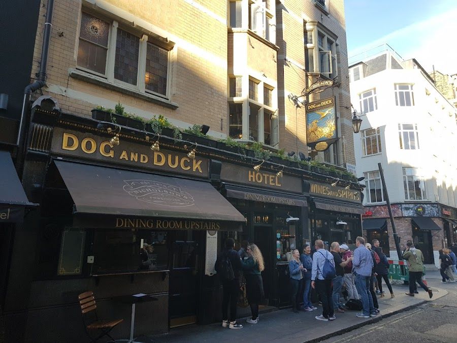 The Dog and Duck bar service