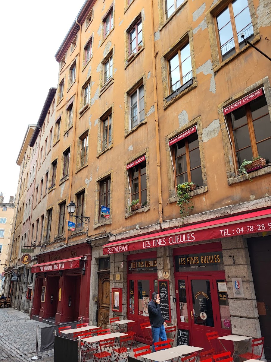 Smoking Dog, Lyon