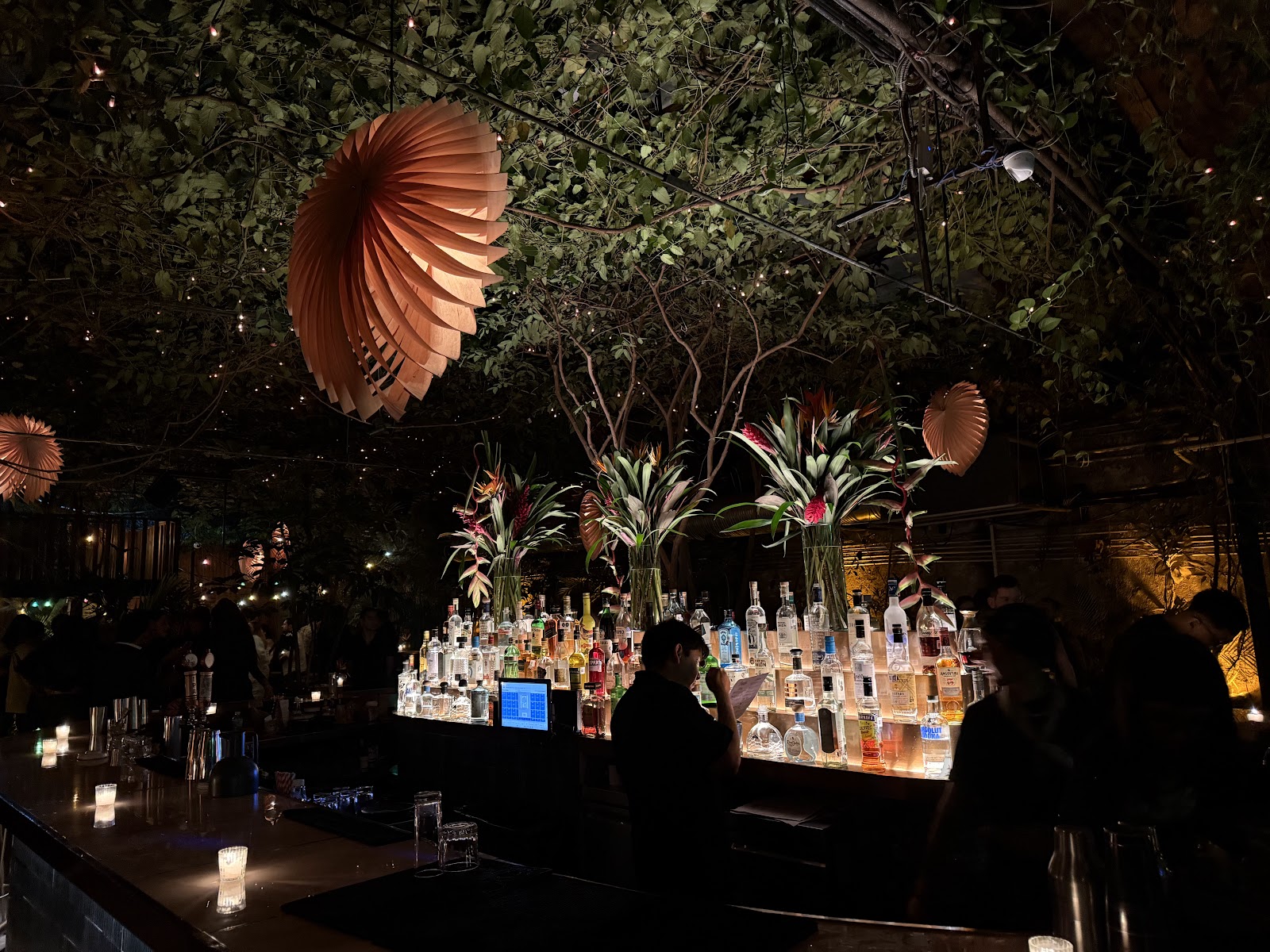 Cocktails and glassware at Jardín Paraíso