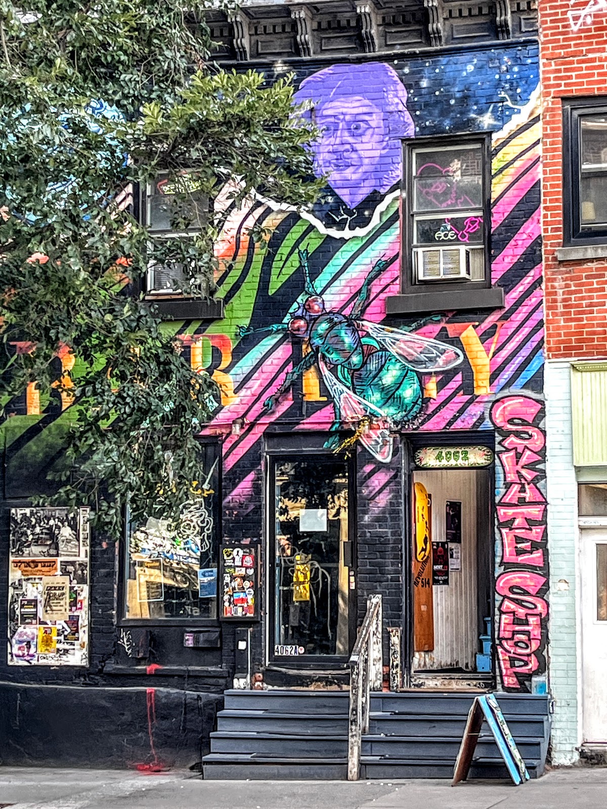 Barfly, Montreal
