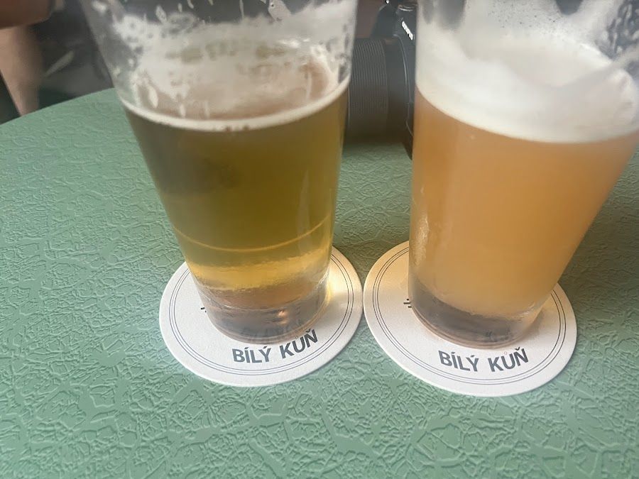 Bily Kun Montreal interior