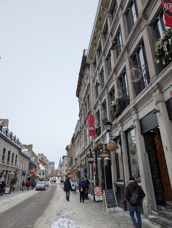 The Burgundy Lion Montreal