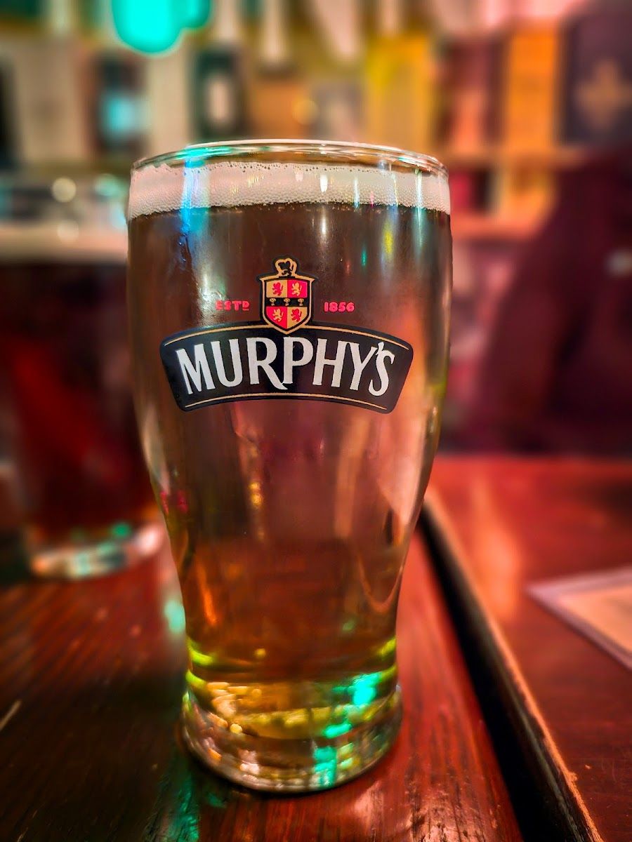 Pub the Old Dublin Ville-Marie atmosphere
