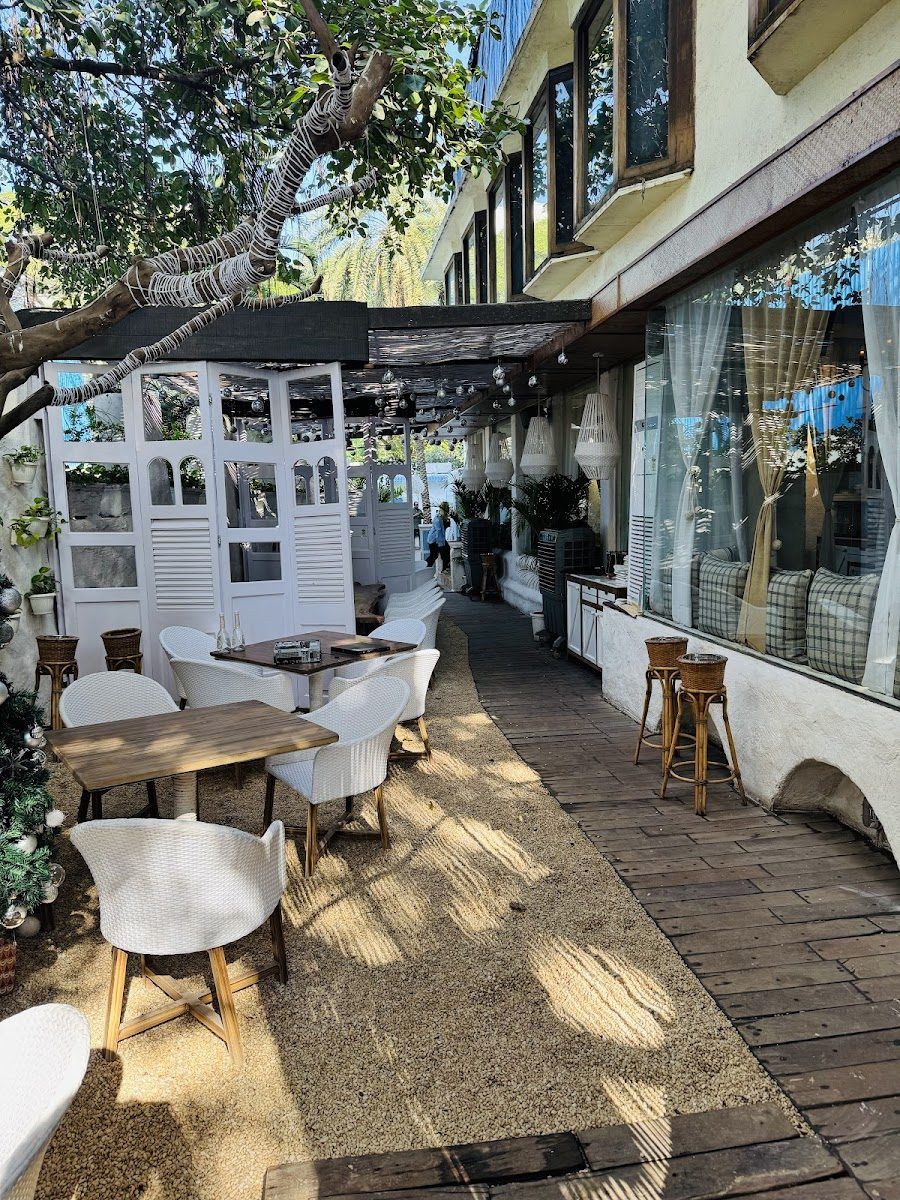 Olive Bar & Kitchen Bandra atmosphere