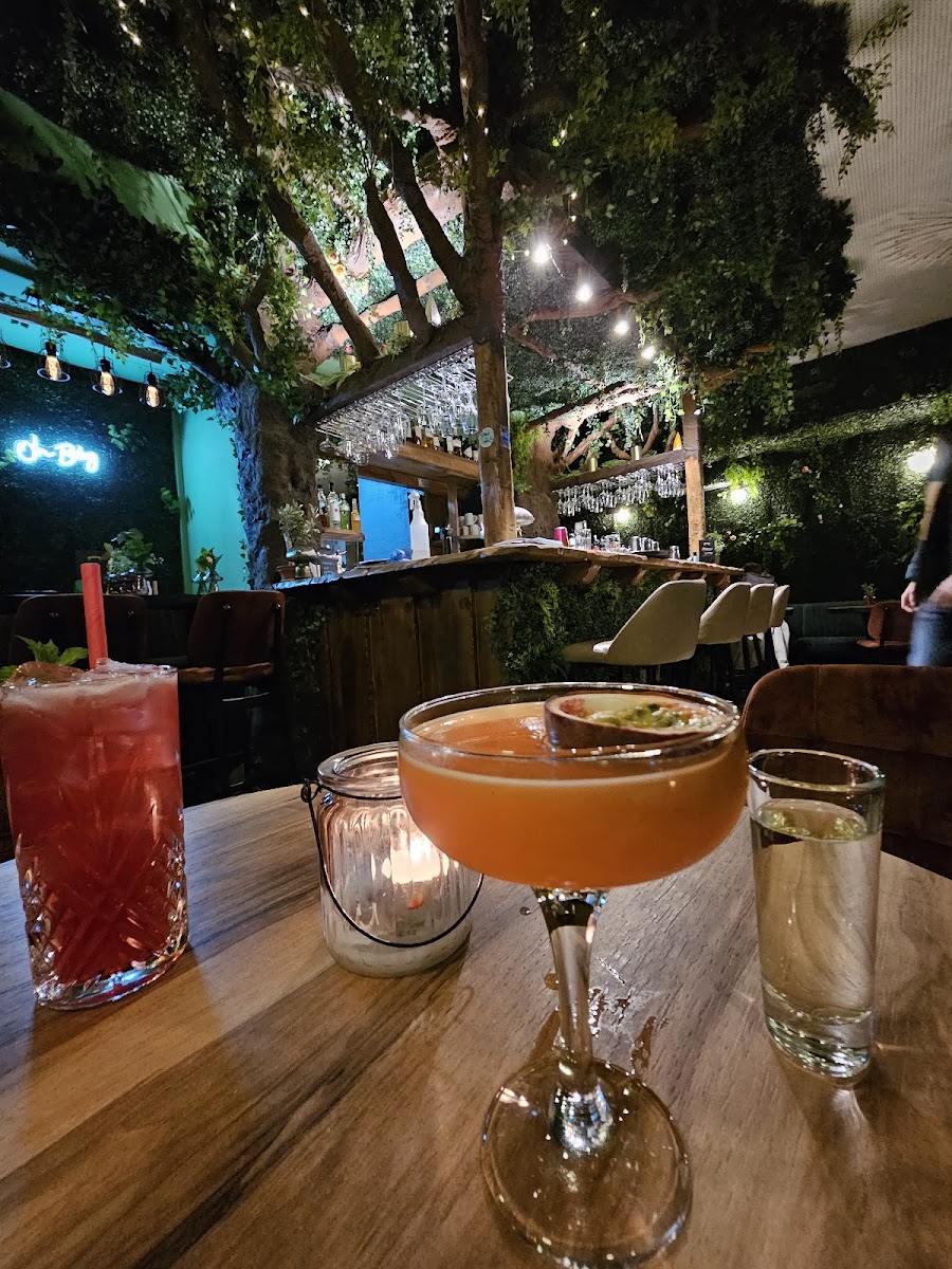 Geholz Bar plant-filled cocktail room, Maxvorstadt Munich