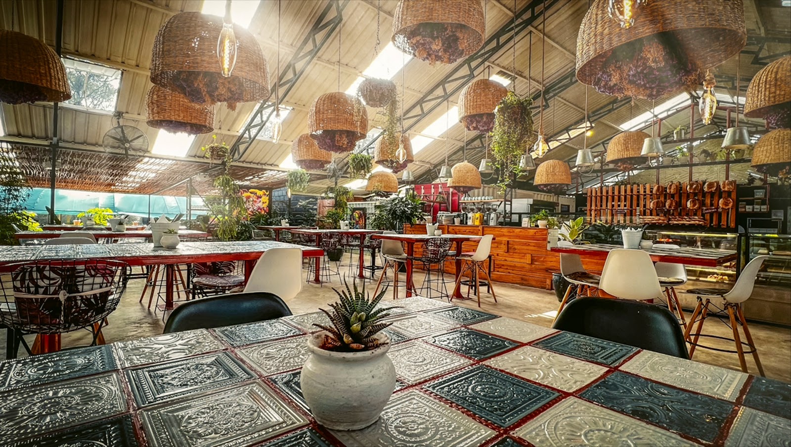Cultiva, Nairobi