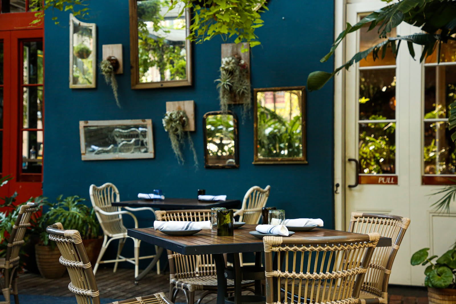Copper Vine, New Orleans