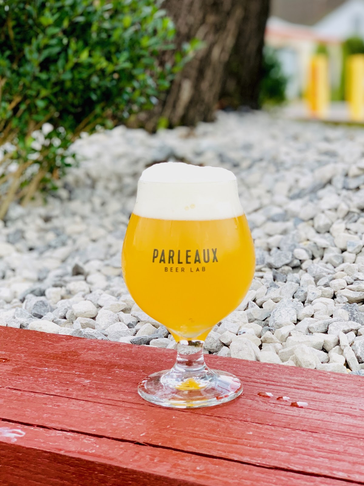 Garden taproom seating at Parleaux Beer Lab in the Bywater, New Orleans