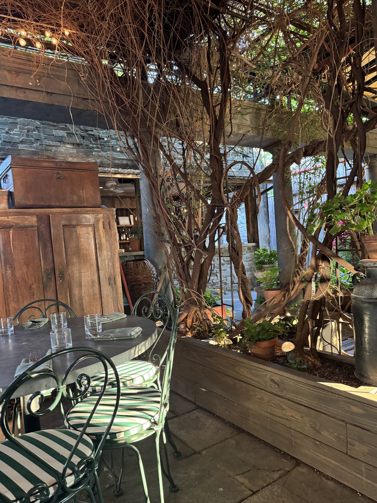 Gallow Green terrace