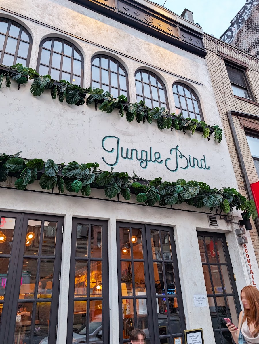 Jungle Bird, New York