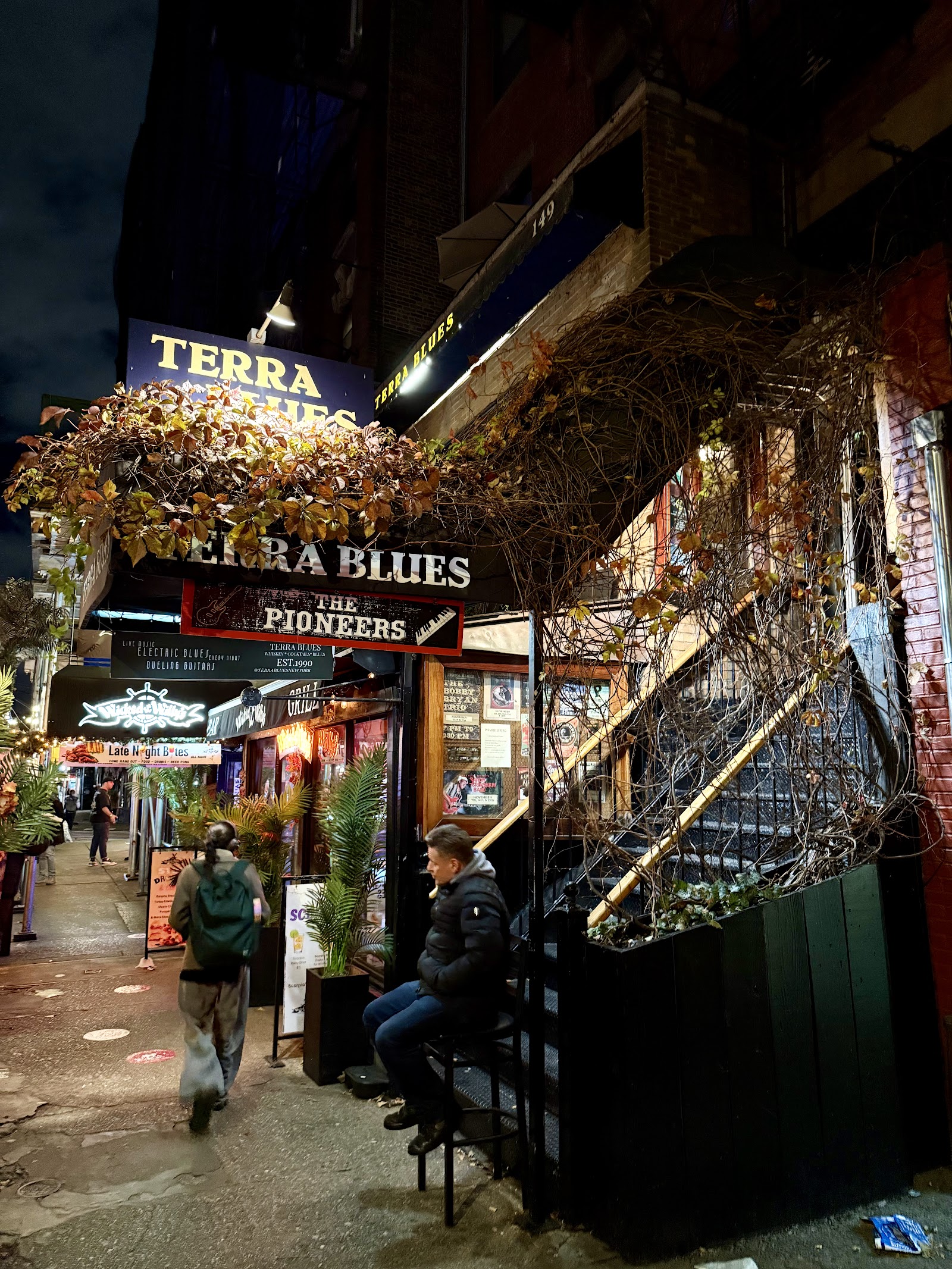 Terra Blues Greenwich Village New York
