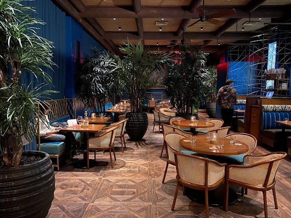 Bar stools at a dim cocktail counter