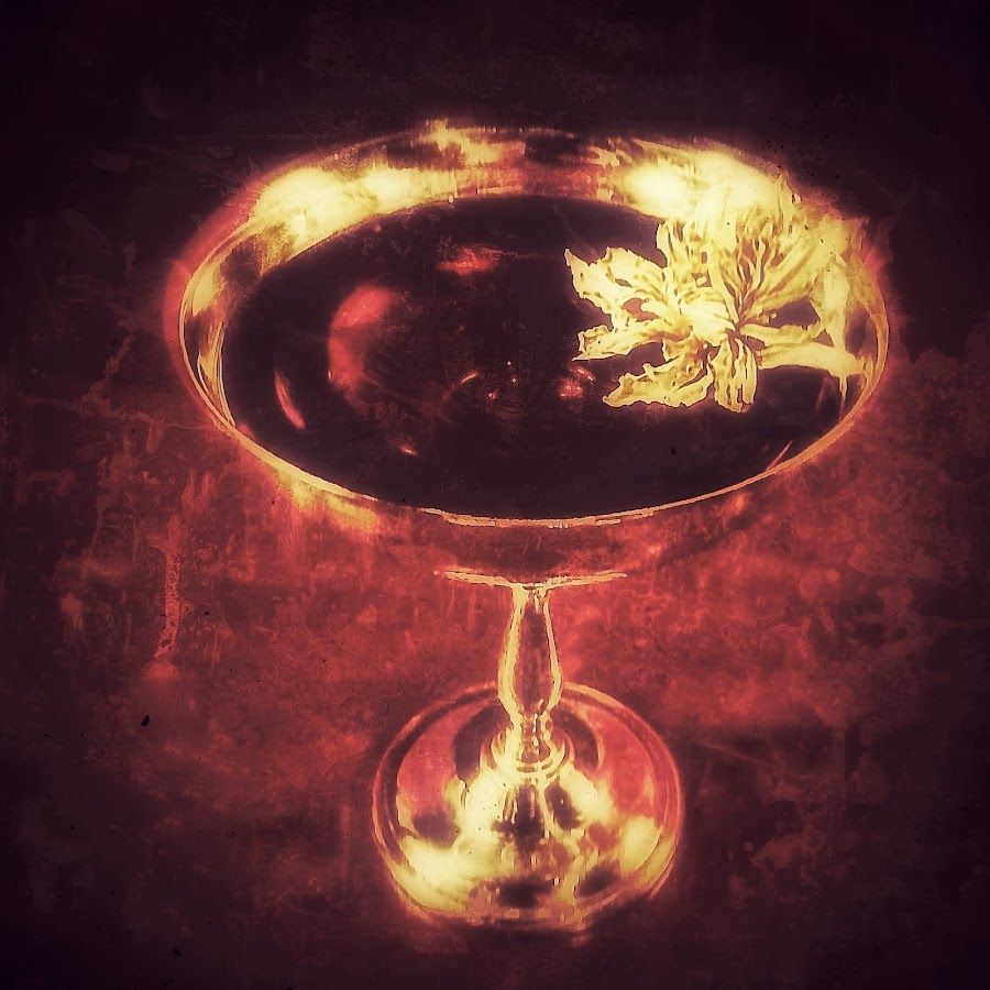 Bar Leichhardt cocktail at the bar