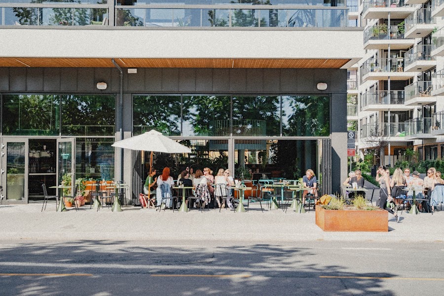Botaniske botanical cocktail bar by Frognerparken in Oslo bar
