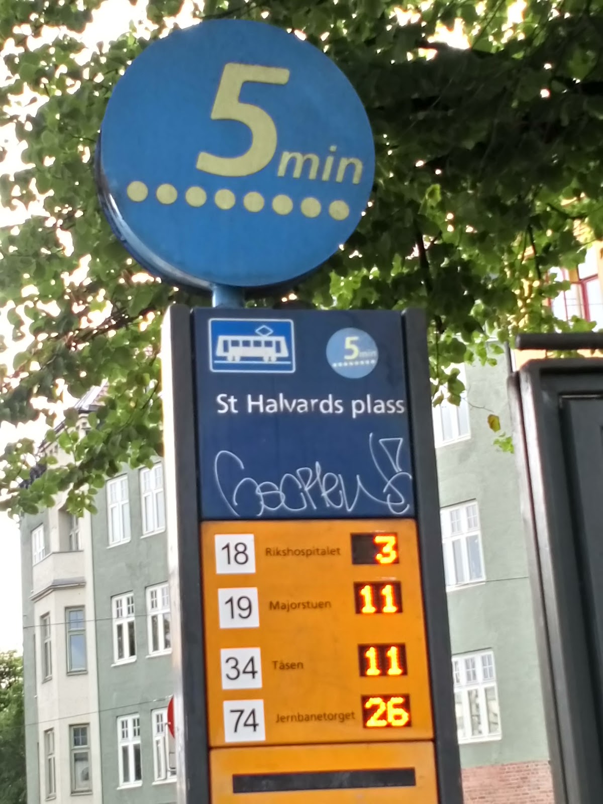 St. Halvards Plass bar counter