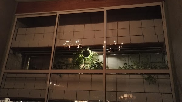 The Thief Bar