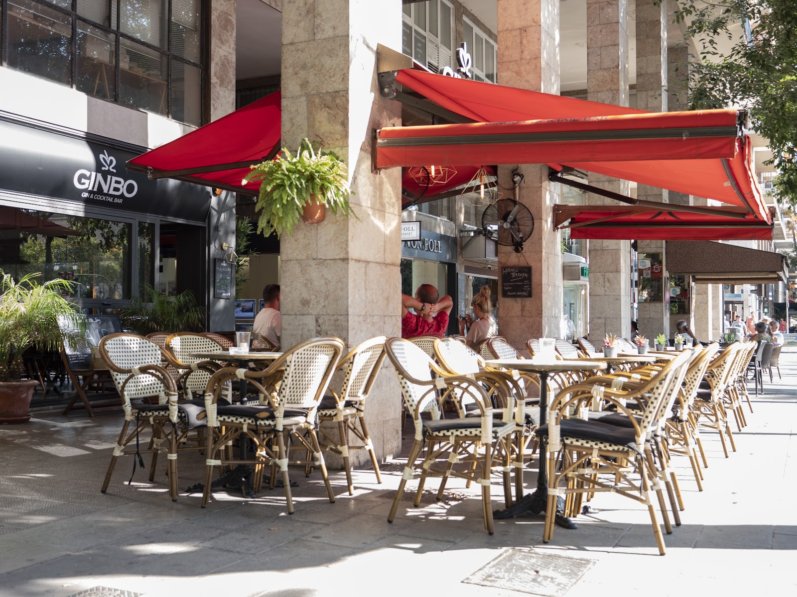 Ginbo, Palma