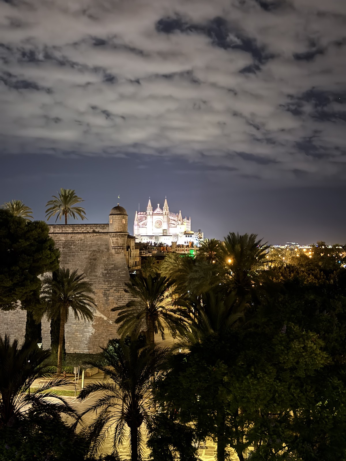 Bar Bosch, Palma