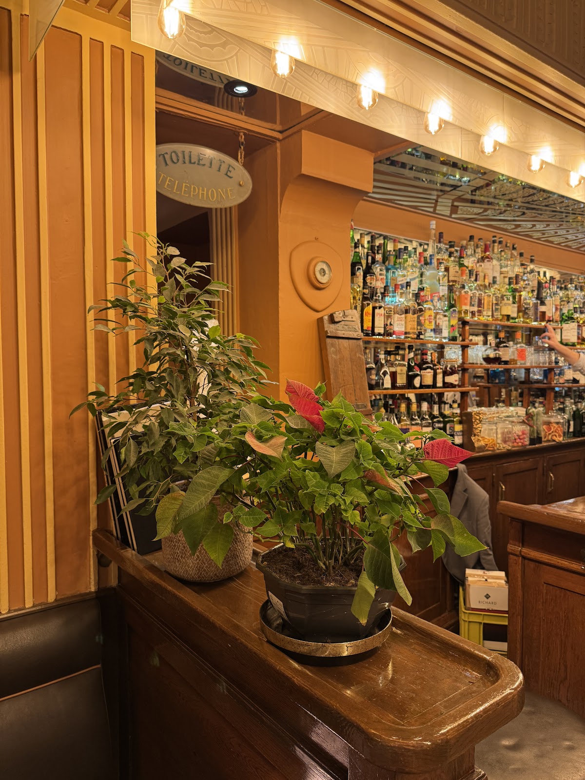 Le Select 6e (Montparnasse)