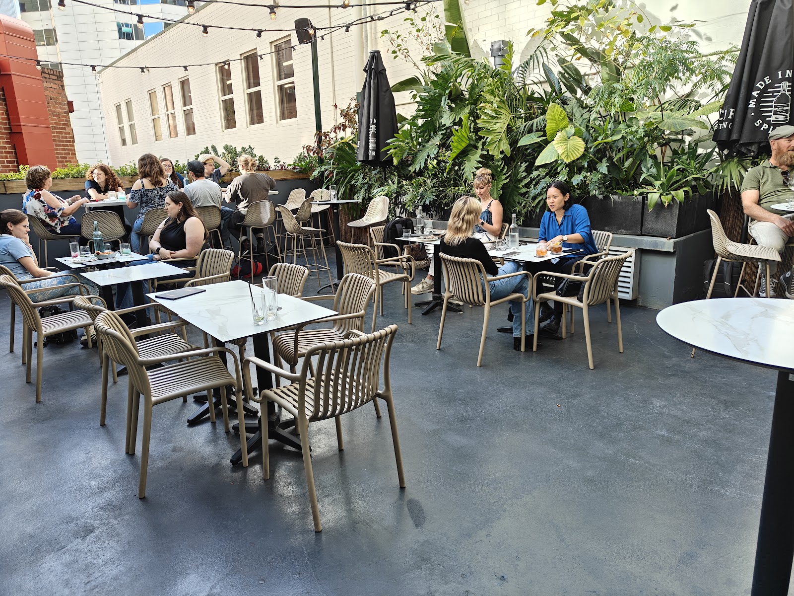 Terrarium Perth rooftop terrace framed by CBD towers