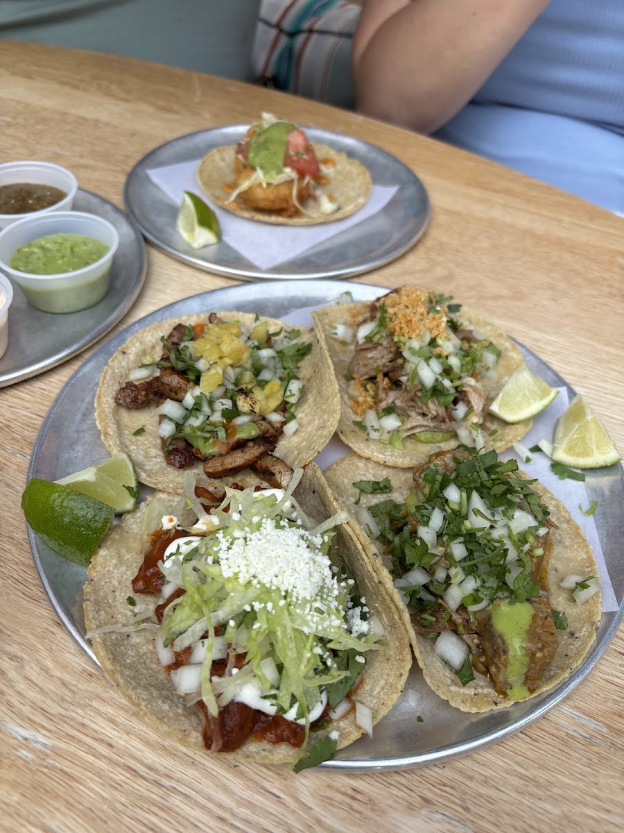 El Techo in Rittenhouse, Philadelphia