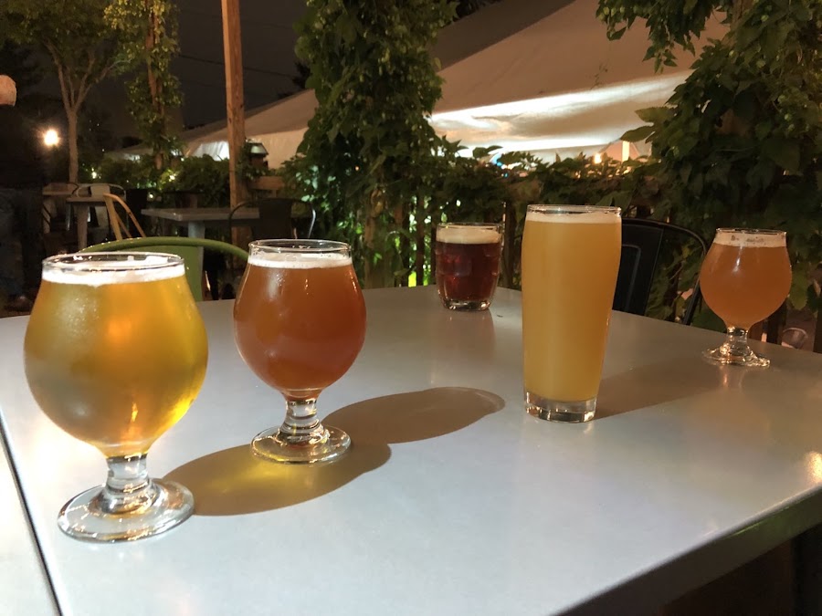 Wissahickon Brewing Company taproom on West Schoolhouse Lane, East Falls, Philadelphia bar