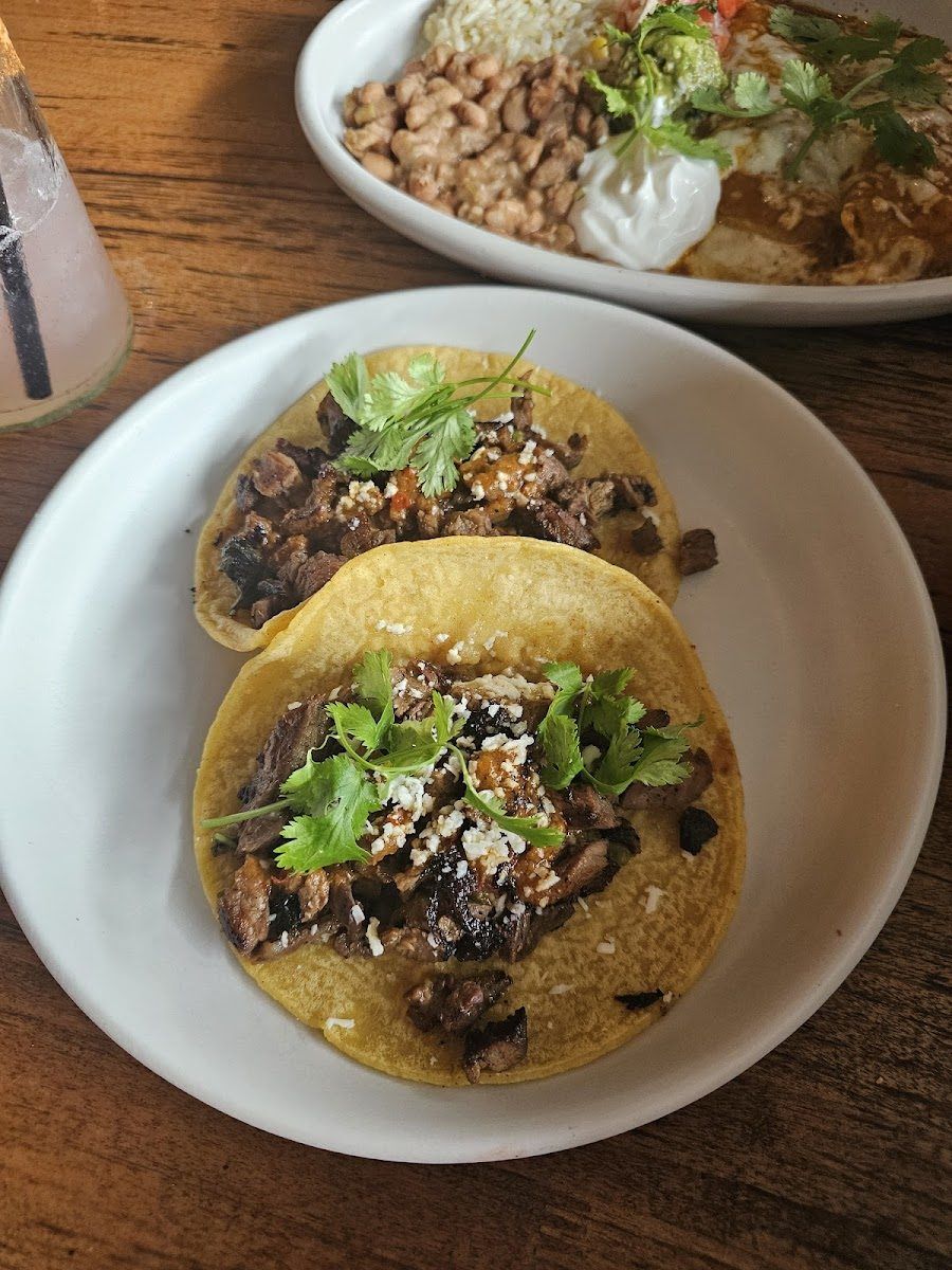 Blanco Tacos & Tequila Phoenix atmosphere