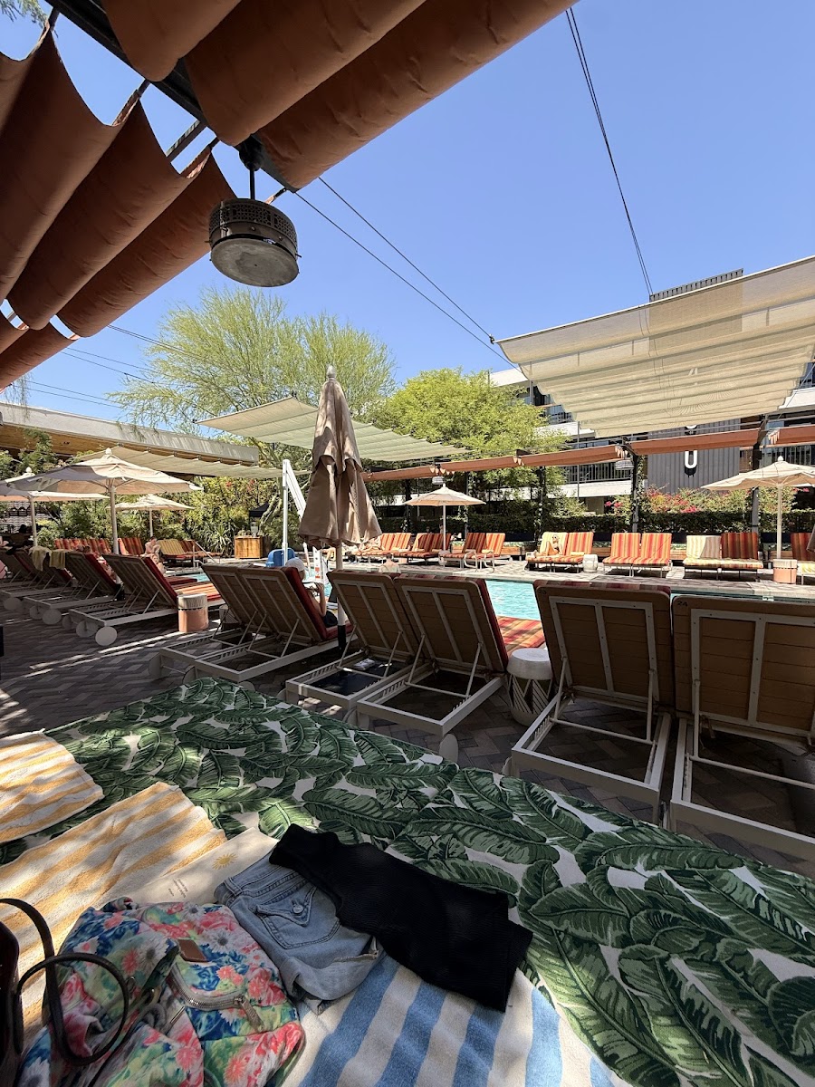 Lylo Swim Club, Phoenix