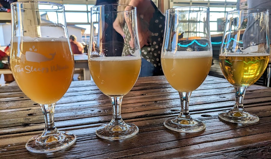 The Sleepy Whale, Phoenix