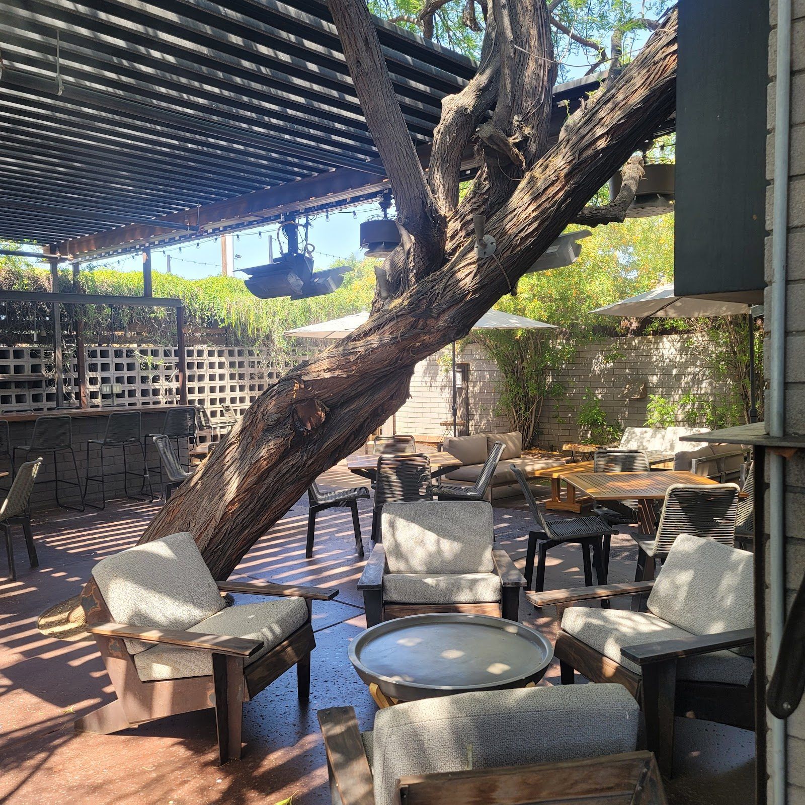 The Vig Arcadia Phoenix bar interior