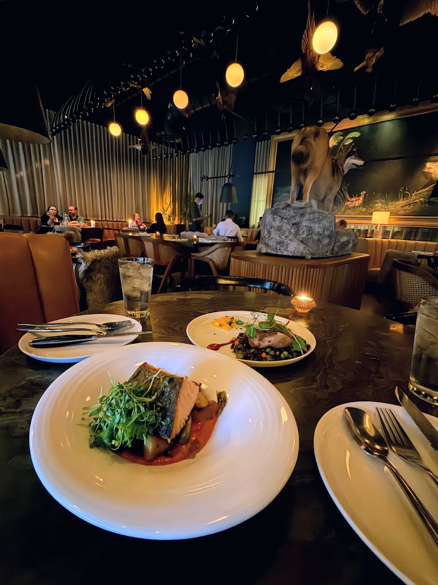 Wren &amp; Wolf, Phoenix