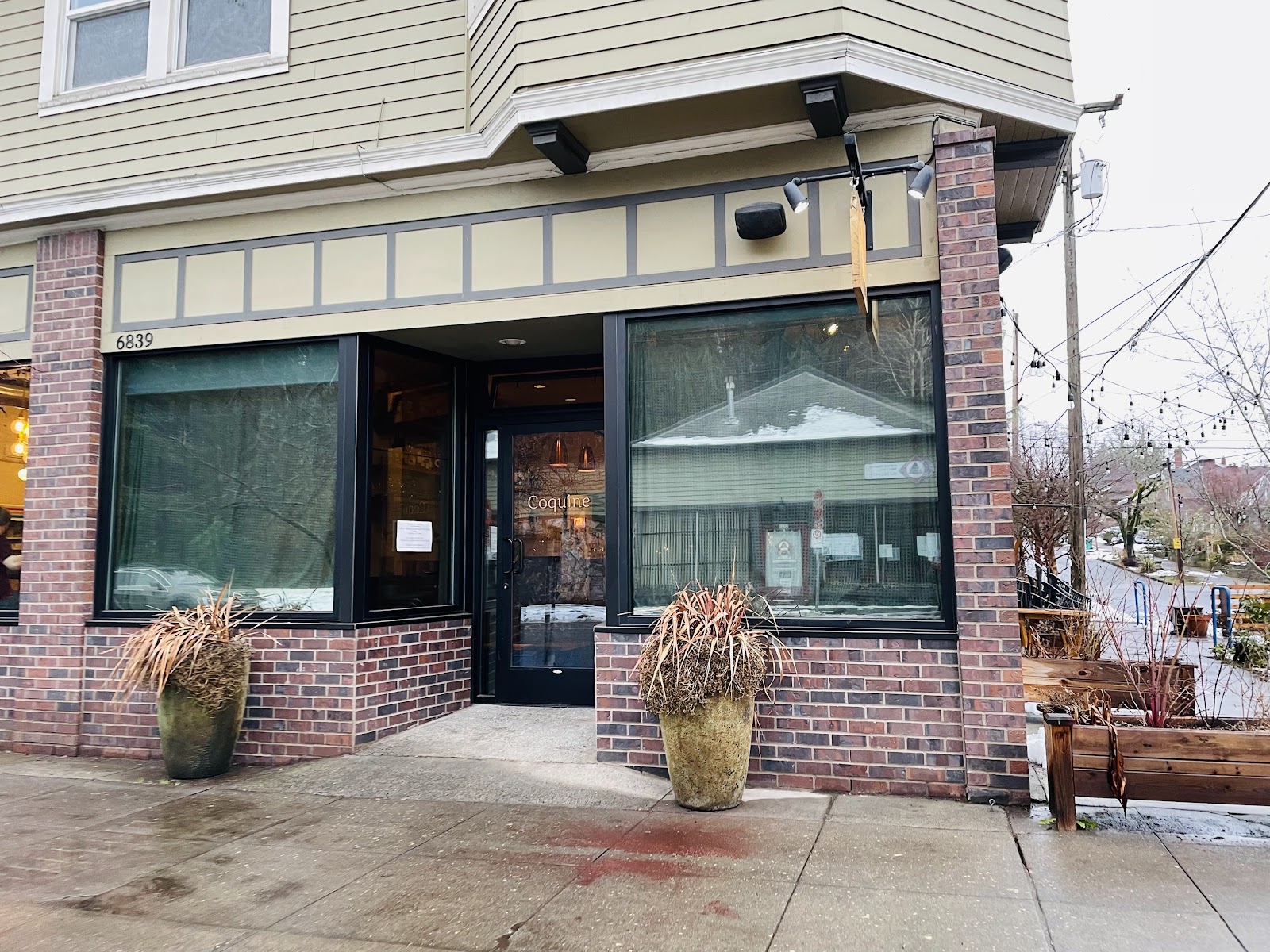 Coquine in Mt. Tabor, Portland
