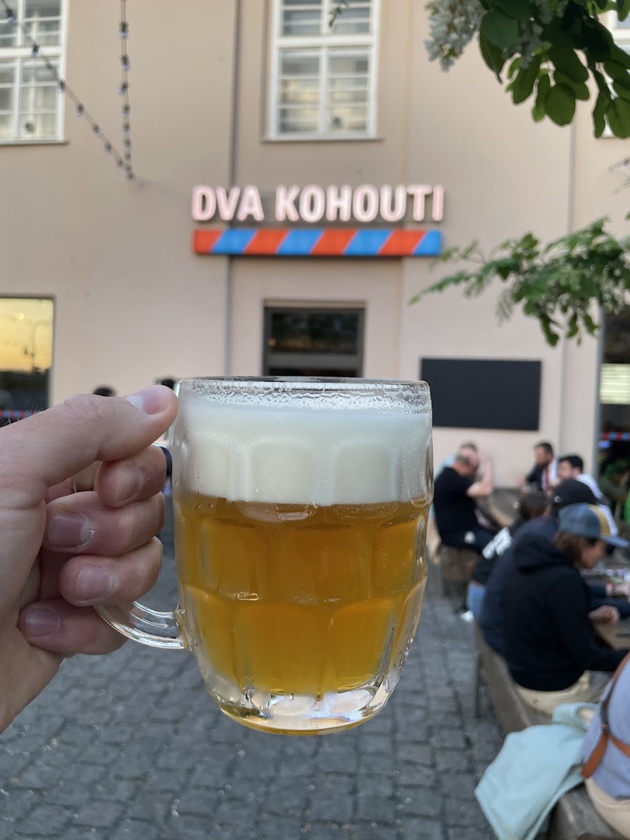 Dva Kohouti interior, Prague