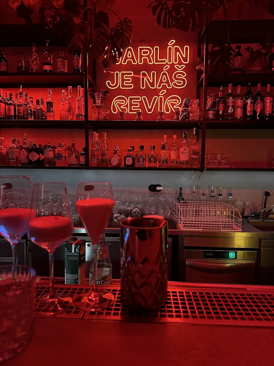 Revír Karlín, Prague