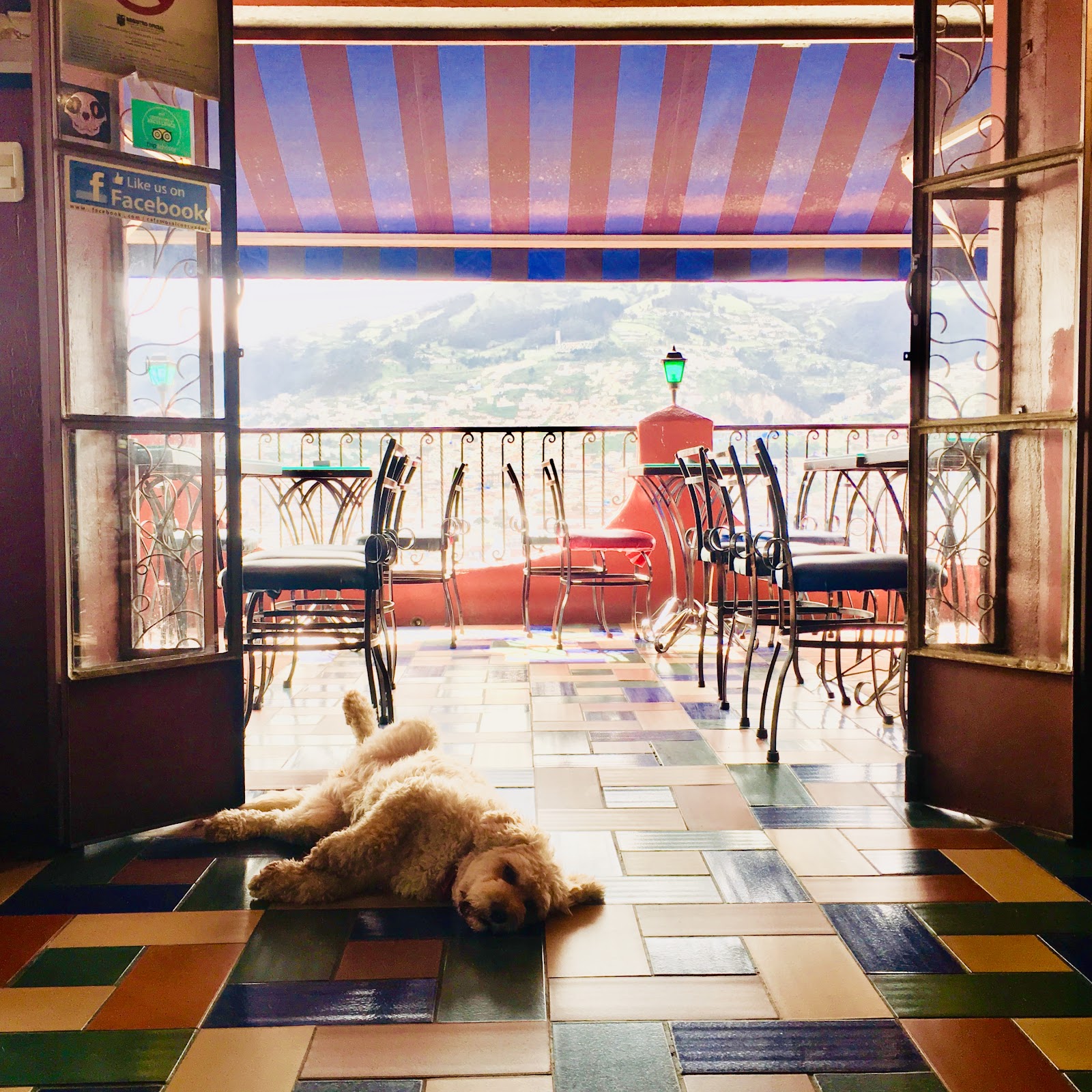 Cafe Mosaico, Quito