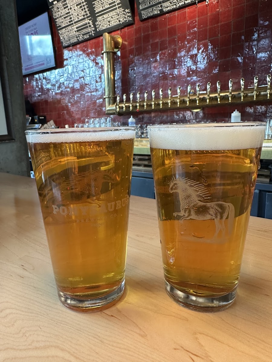 Ponysaurus Brewing, Raleigh Durham