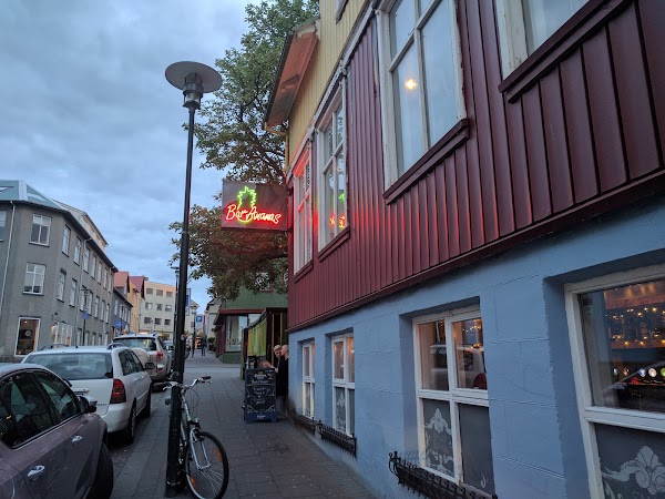 Flora Cocktail Bar in Reykjavik