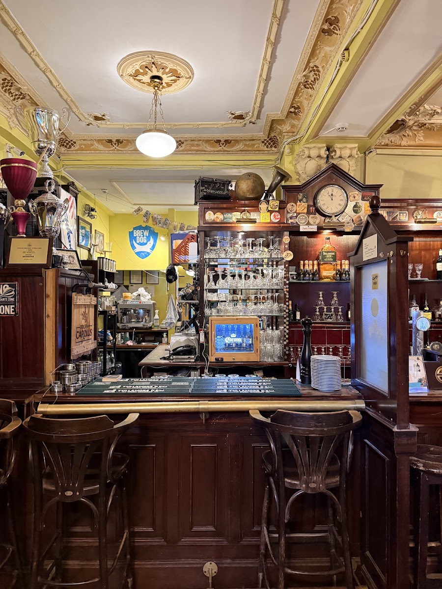 Bar stools at a long pub counter