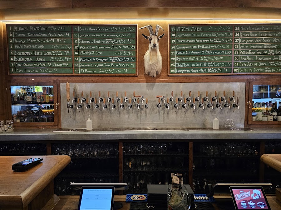 Bock drinks